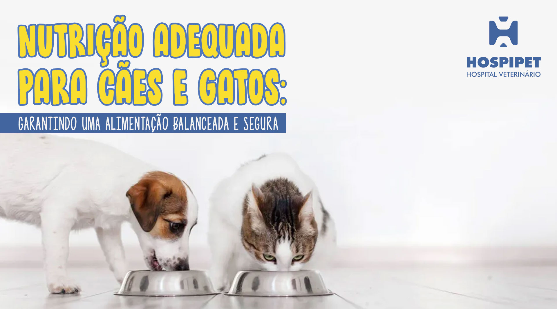 Nutrição Adequada para Cães e Gatos: Garantindo uma Alimentação Balanceada e Segura