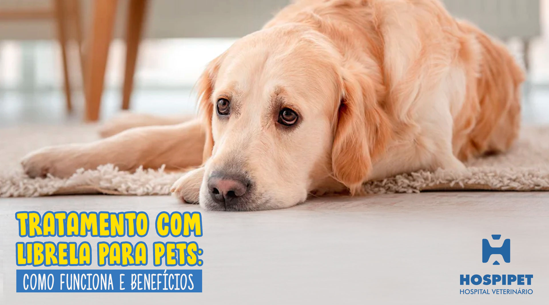 Tratamento com Librela para Pets: Como Funciona e Benefícios